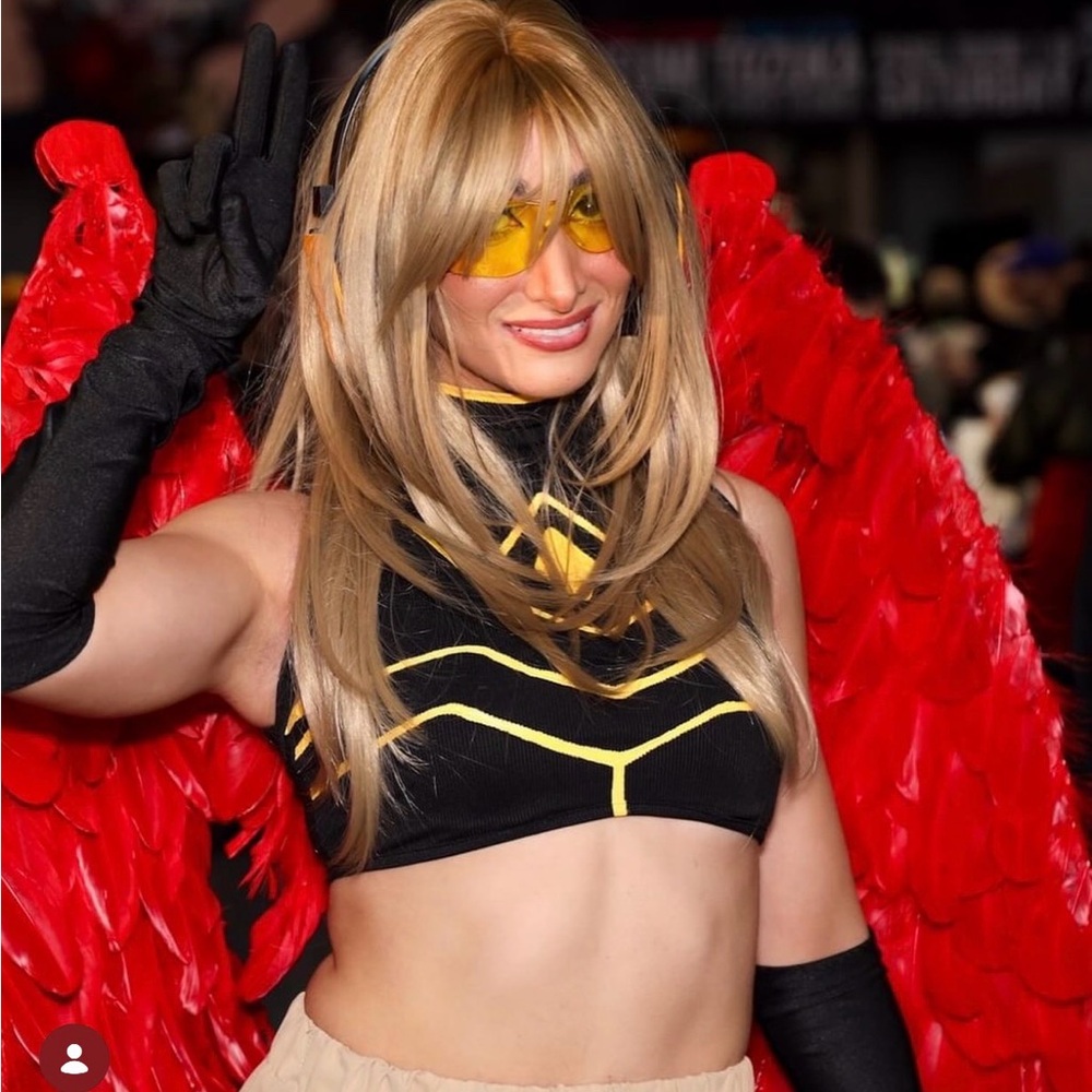 Red Retractable Wings - Picture 2 of 2